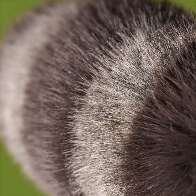 Trixiwoo Raccoon | JELLYCAT-Stuffed Animal-jellycat-The Village Shoppe, Women’s Fashion Boutique, Shop Online and In Store - Located in Muscle Shoals, AL.
